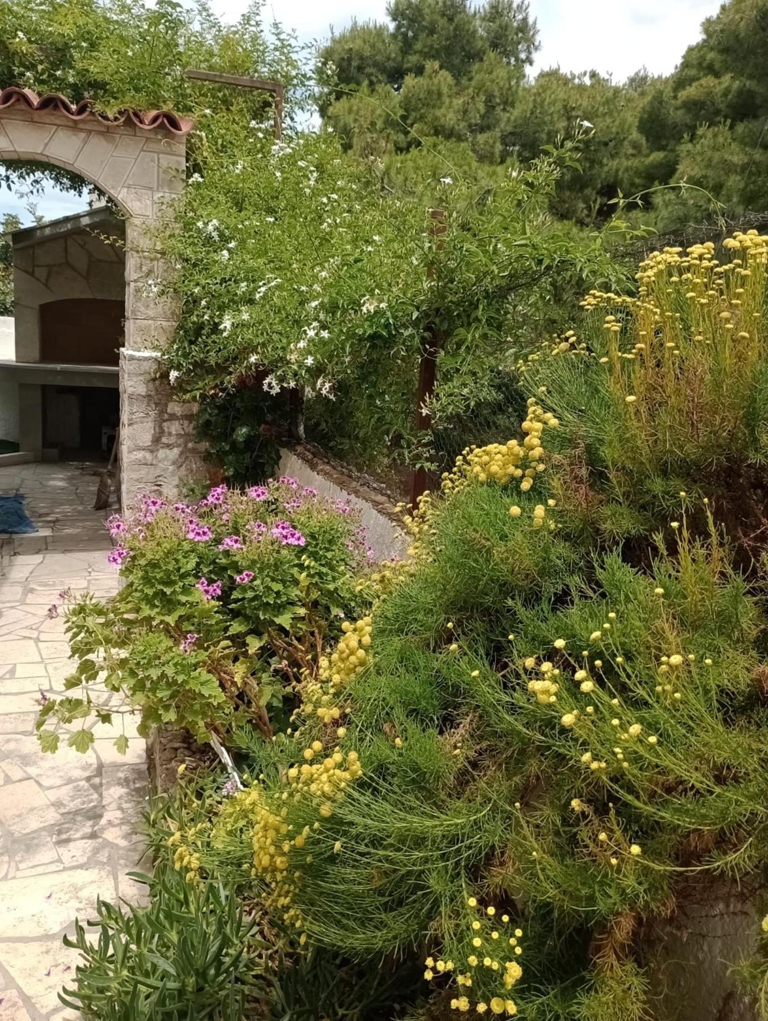 Villa Kuca Za Odmor Skalina - Sea View Splitska Camera foto